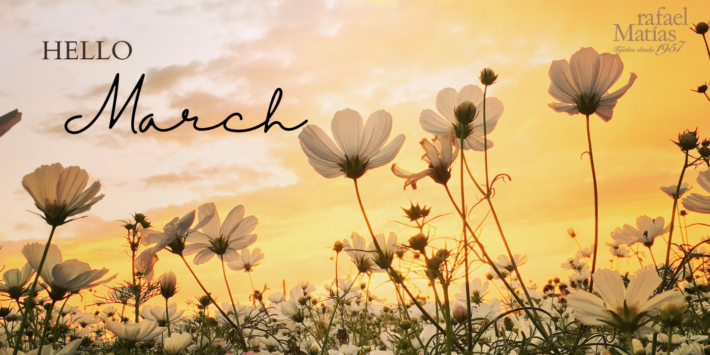 Orange Aesthetic Sunset Flower View Hello March Instagram Story (1400 x 700 px)